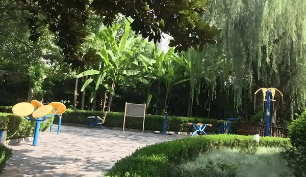 入户所需资料_佟国维的段位究竟有多高？康熙朝“不按常理出牌”的第一押宝王！ 按常理出牌张地址：